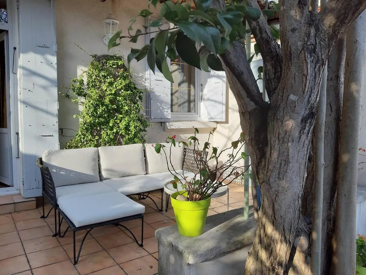 Villa Piscine 3 Chambres-Centre A Pied- 9 Couchages Avignon