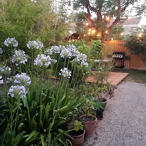 Les Bambous , Jardin , Terrasse , Climatisation , Wifi , Parking Avignon